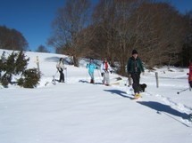 Snowshoeing at Mont Salève Picture