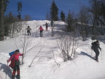 Gentle hike or snowshoe on Mount Salève Picture