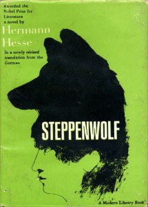 Book 103: Steppenwolf by Herman Hesse Picture