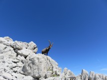 Circular hike to the Pointe du Midi (2364m) Picture
