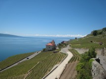 Vevey - Lavaux - Early Hike to beat the rain Picture