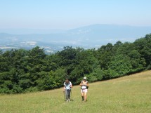 Hike on Mt Salève - The path of 