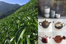 rare blue teas & ceramic experience Picture