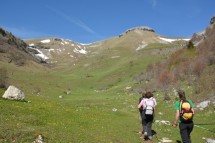 Hiking Reculet (Jura) Picture